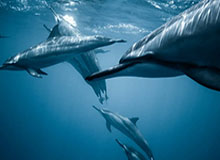 九游体育官网——开启你的极致游戏新纪元